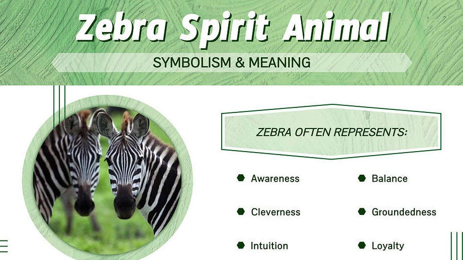 What Does a Zebra Symbolize