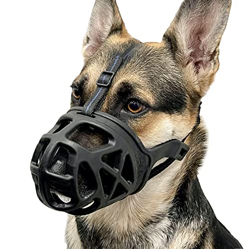 Best Basket Muzzle for Labrador