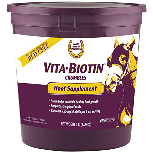 Best Biotin Supplement for Horses