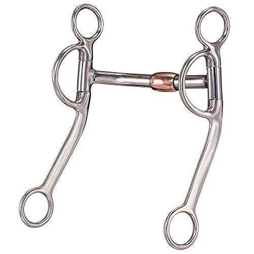 Best Bit for Gaited Horses