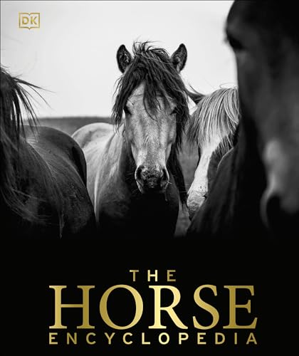 Best Books About Horses for Adults