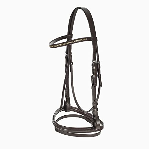 Best Bridle for Arabian Horse