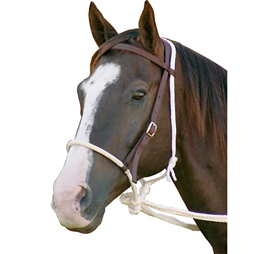 Best Bridles for Young Horses