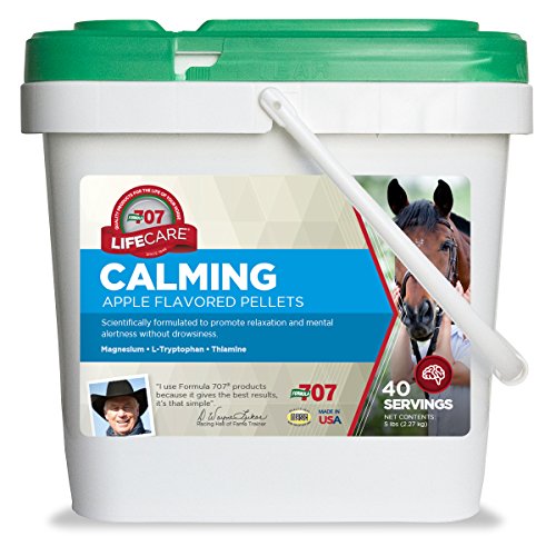 Best Calmer for Nervous Horses