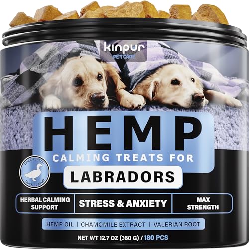 Best Chew Treats for Labradors