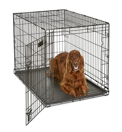 Best Crate for Labrador Puppy