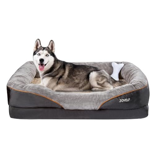 Best Dog Bed for Senior Labrador