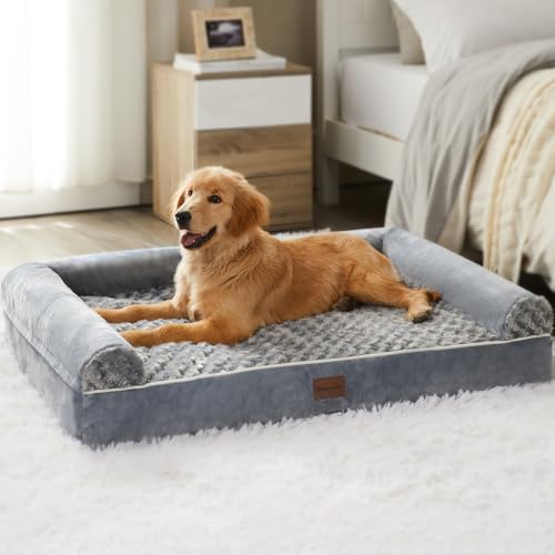 Best Dog Beds for Labrador Retrievers