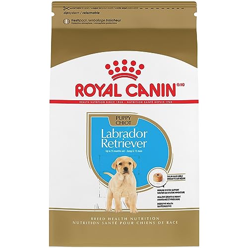 Best Dog Food Brand for Labrador Puppies