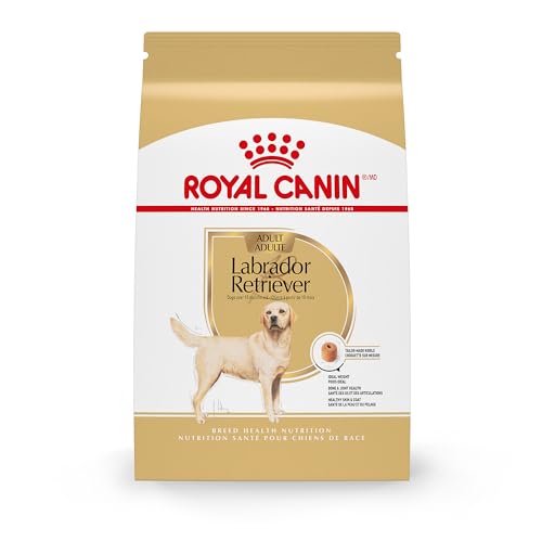 Best Dog Food for Labrador Retrievers With Allergies