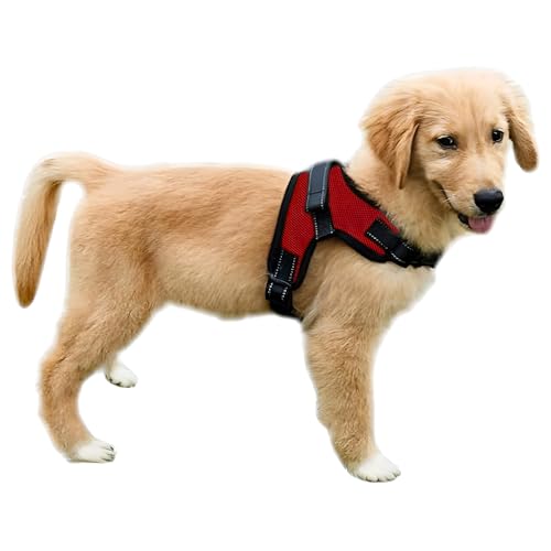 Best Dog Harness for Labrador Puppy