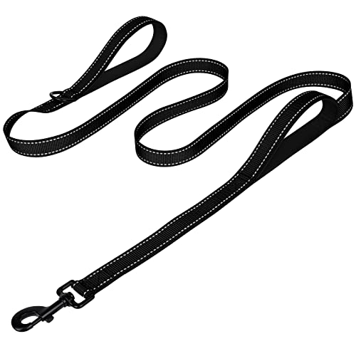 Best Dog Leash for Labrador