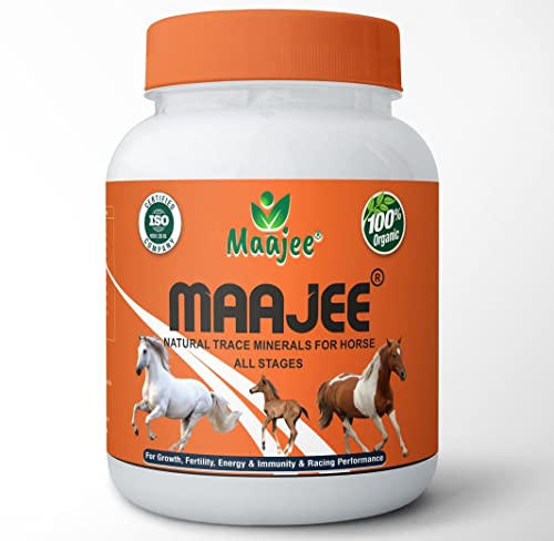 Best Feed for Horses in Winter