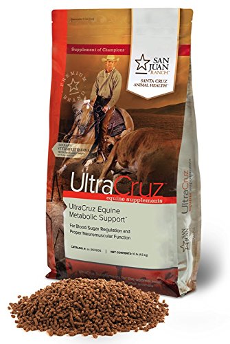 Best Feed for Metabolic Horses