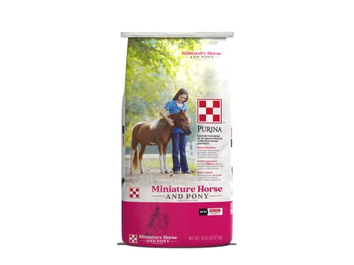 Best Feed for Miniature Horses