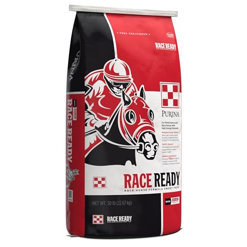 Best Feed for Race Horses