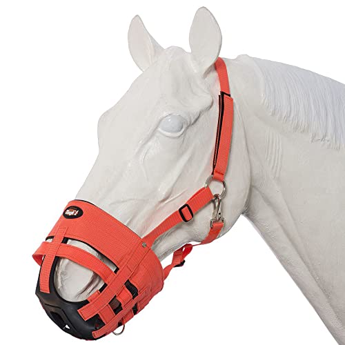 Best Grazing Muzzle for Horses