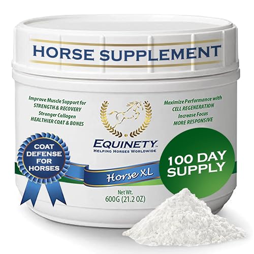 Best Hoof Supplement for Horses