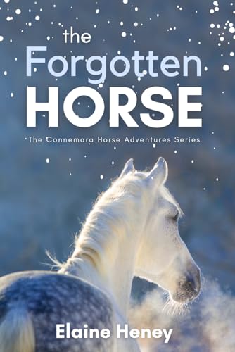 Best Horse Books for Tweens