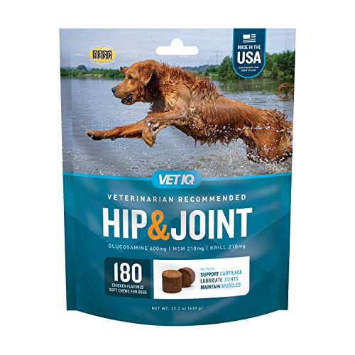 Best Joint Supplement for Labradors