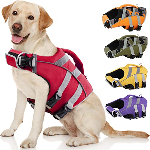 Best Life Jacket for Labrador Retriever