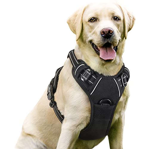 Best No Pull Harness for Labrador