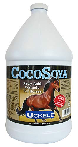 Best Oil for Horses