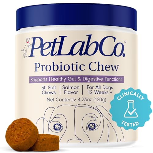 Best Probiotic for Labradors