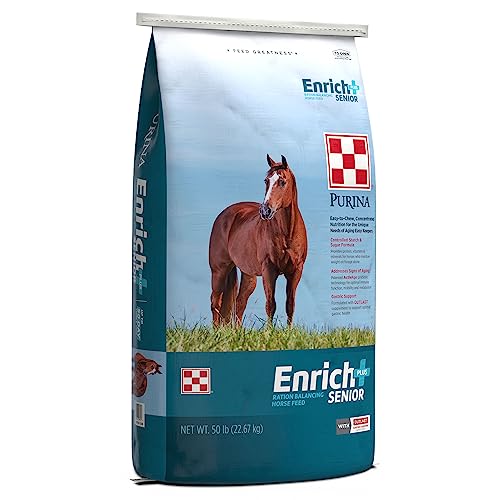 Best Ration Balancer for Horses