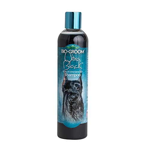 Best Shampoo for Black Labrador