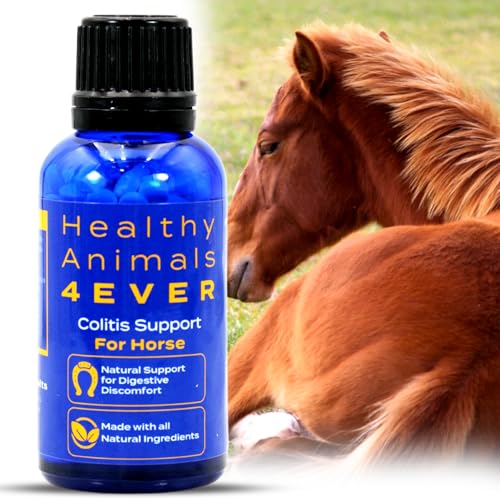 Best Supplement for Horse With Diarrhea