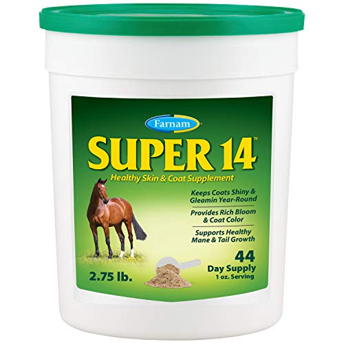 Best Supplement for Horse With Dry Skin