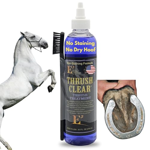 Best Thrush Treatment for Horses