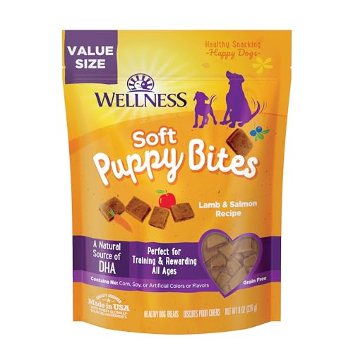 Best Treats for Labrador Puppy