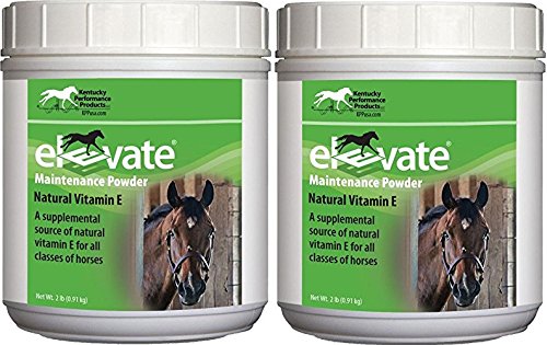 Best Vitamin E Supplement for Horses