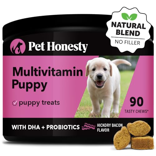 Best Vitamins for Labrador Puppy