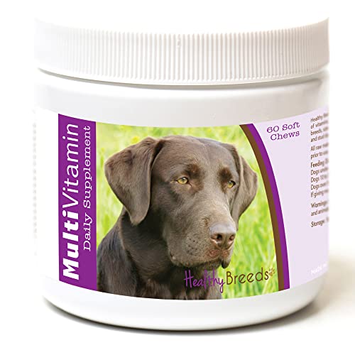 Best Vitamins for Labrador