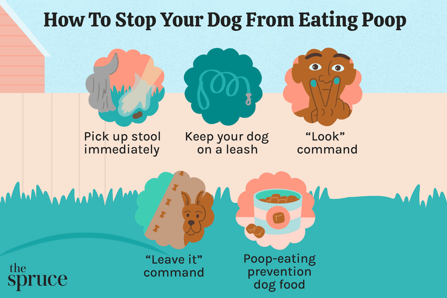 How to Stop My Labrador from Eating Poop