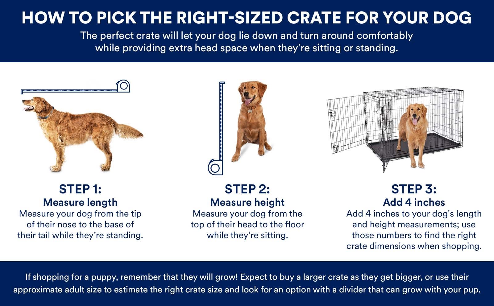 What Size Crate for a Labrador Puppy