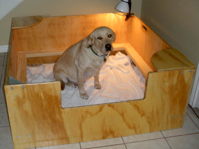 What Size Whelping Box Do I Need for a Labrador